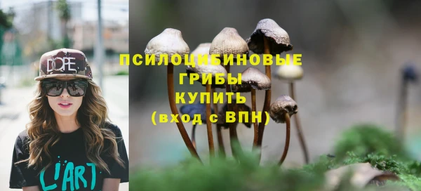 шишки Верхнеуральск