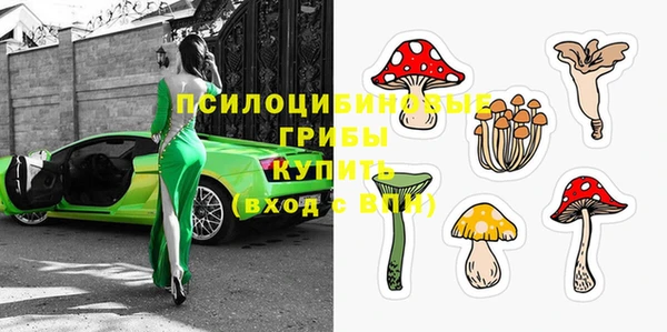 PSILOCYBIN Нефтегорск