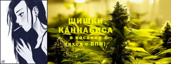 PSILOCYBIN Нефтегорск